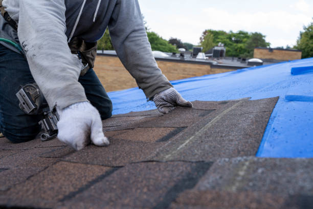 Best New Roof Installation  in Seaside, OR